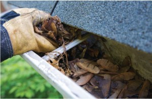 Cleaning Gutters