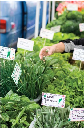 Local chef and nutritionist shares love of herbs in delicious spring recipes