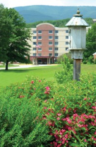 birdhouse-flowers-kw birdhouse-flowers-kw