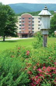 birdhouse-flowers-kw