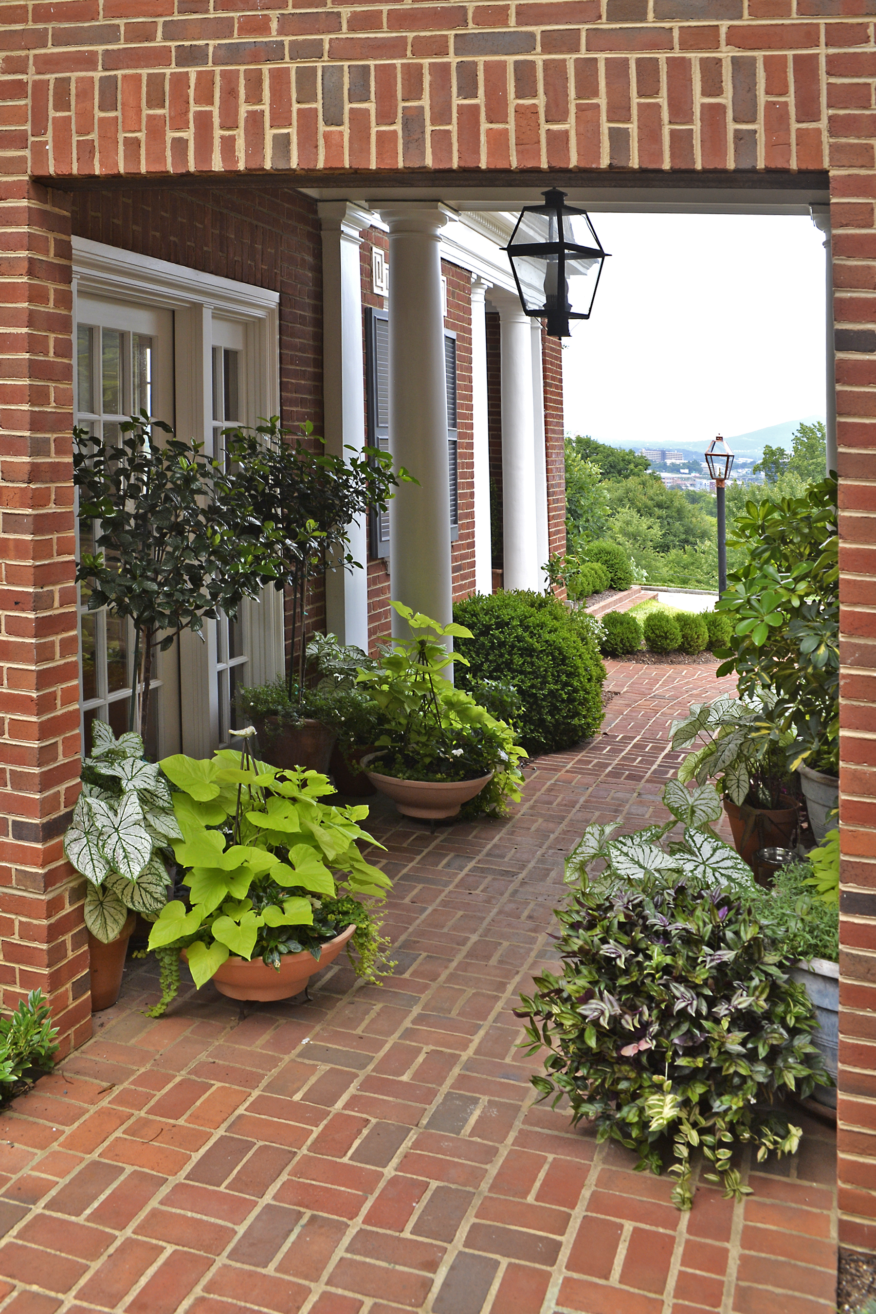 Hodges container garden