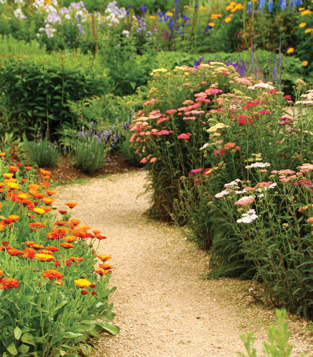 Herb and flower garden