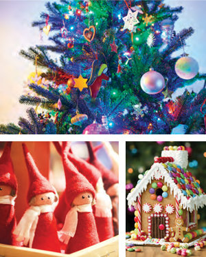 Features_HolidayStyle9