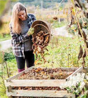 Garden_Mulch2